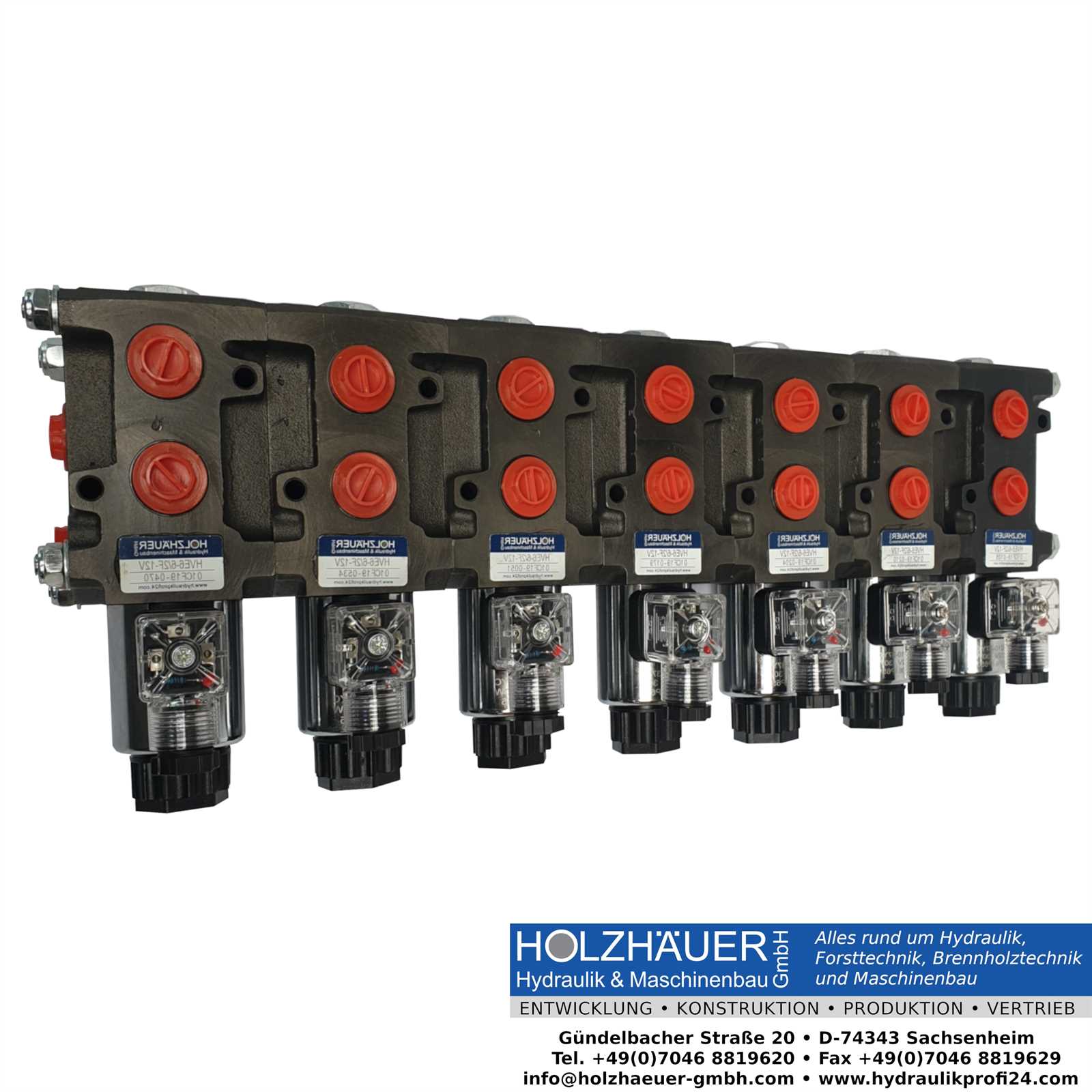 HOLZHÄUER Hydraulikventil flanschbar 18/8 Wege Wechselventil 50L 24 V