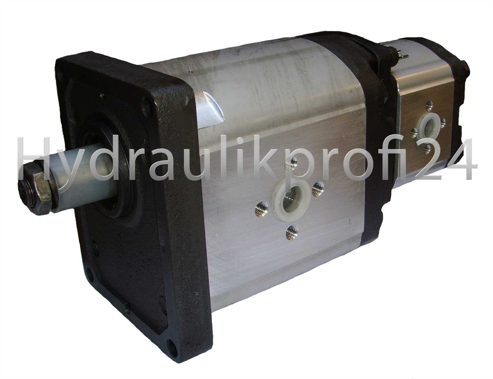 Hydraulikprofi24 - Tandempumpe Doppelpumpe Hydraulikpumpe m. Gußdeckel  BG3-38ccm+BG2-10ccm