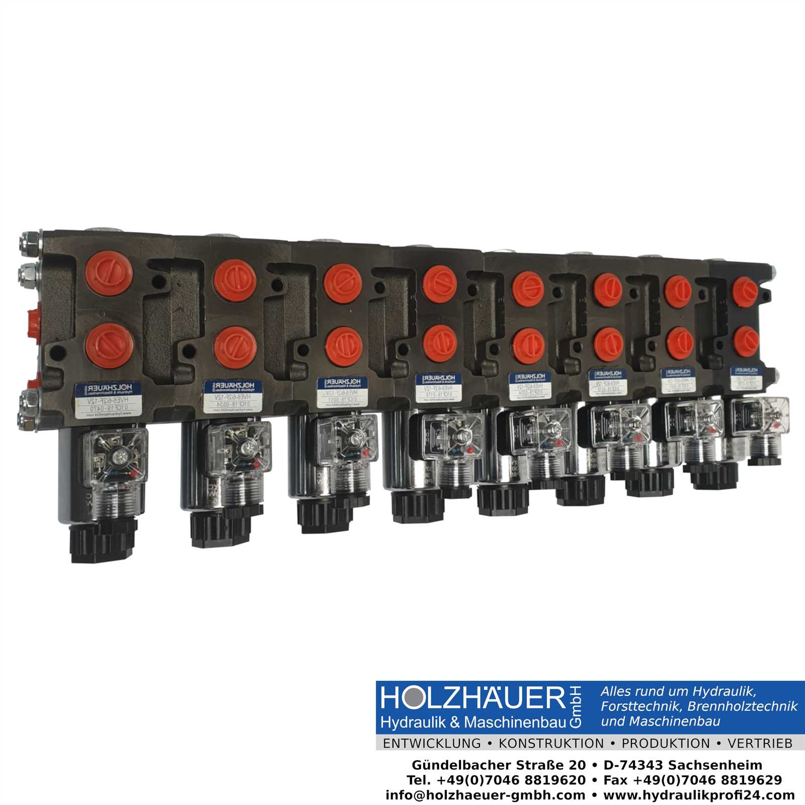 HOLZHÄUER Hydraulikventil flanschbar 20/9 Wege Wechselventil 50L 24 V