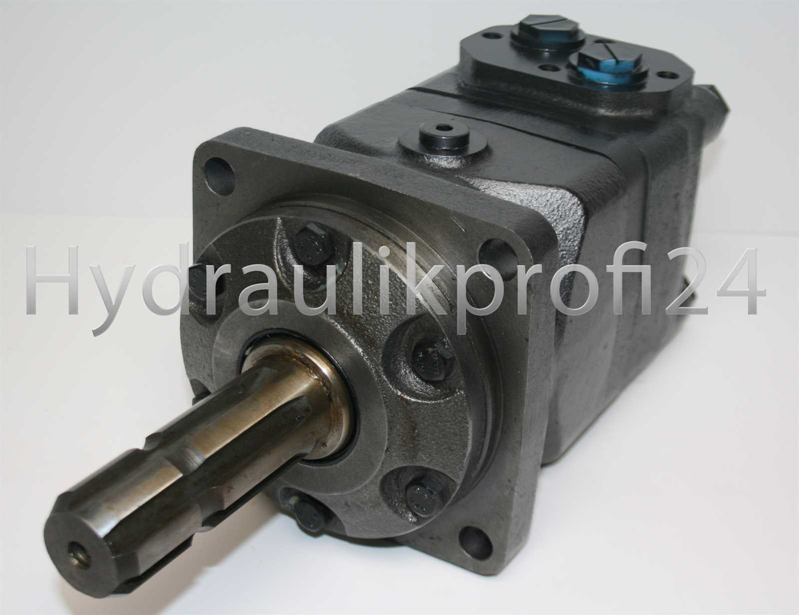 Hydraulikmotor Orbitalmotor Orbitmotor Zapfwelle Ölmotor HMT BMT OMT 315 SL