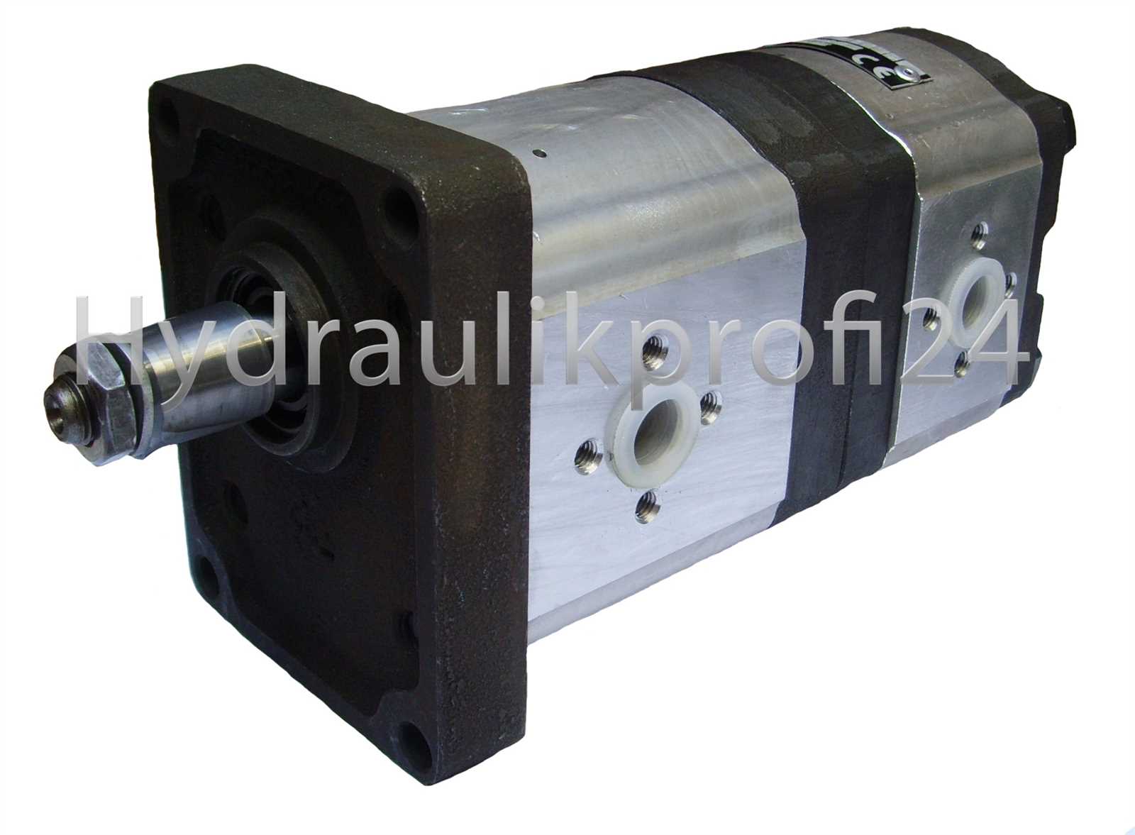 Tandempumpe Doppelpumpe Hydraulikpumpe m. Gußdeckel BG2-20ccm+BG2-8ccm